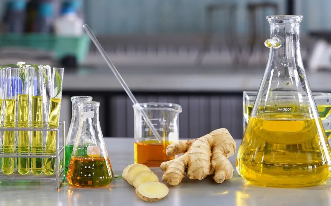 棟方股份榮獲2021年廣東省科技進(jìn)步獎(jiǎng)，科研創(chuàng)新實(shí)力再獲認(rèn)可！